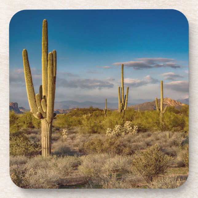 Deserts | Superstition Mountains, Arizona Coaster (Front)
