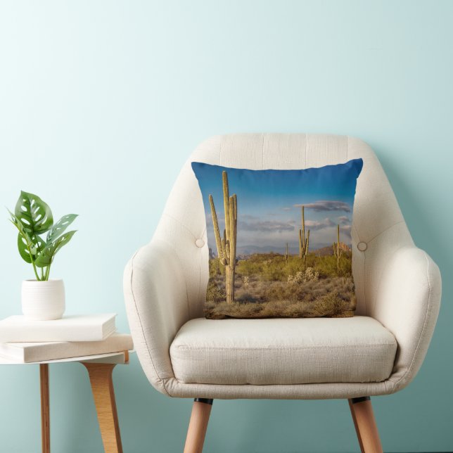 Deserts | Superstition Mountains, Arizona Cushion (Chair)