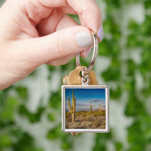 Deserts Superstition Mountains, Arizona Key Ring