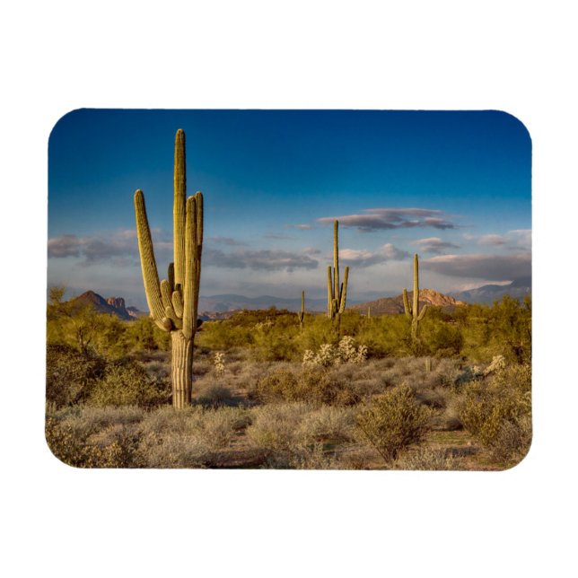 Deserts | Superstition Mountains, Arizona Magnet (Horizontal)