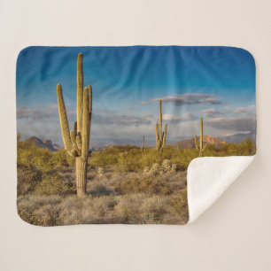 Deserts Superstition Mountains, Arizona Sherpa Blanket