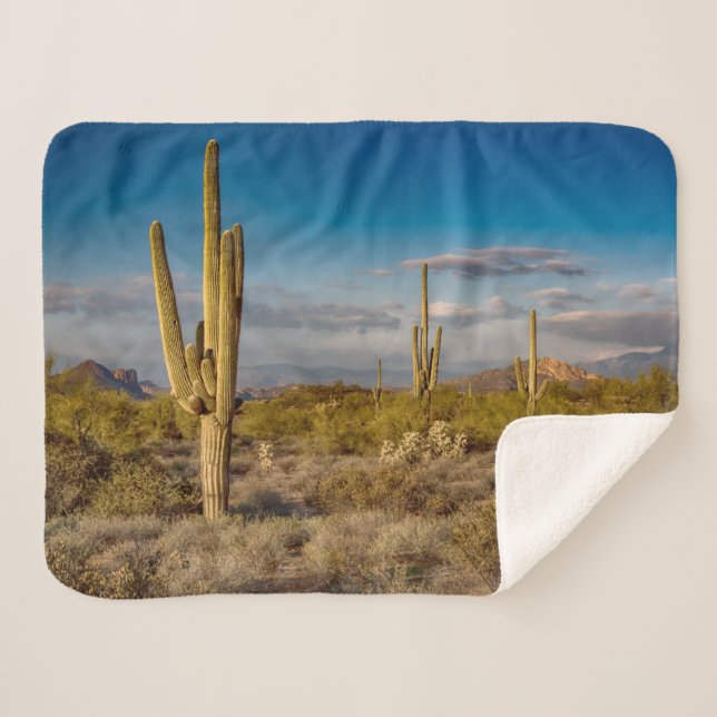 Deserts | Superstition Mountains, Arizona Sherpa Blanket (Front (Horizontal))