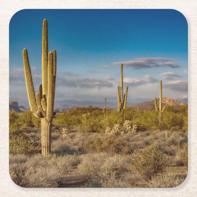 Deserts | Superstition Mountains, Arizona Square Paper Coaster (Front)