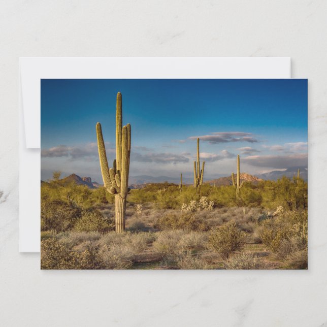 Deserts | Superstition Mountains, Arizona Thank You Card (Front)