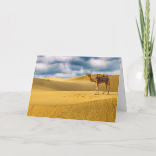Deserts   Thar Desert Rajasthan India Camel Card