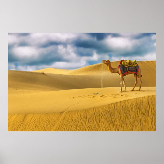 Deserts | Thar Desert Rajasthan India Camel Poster (Front)