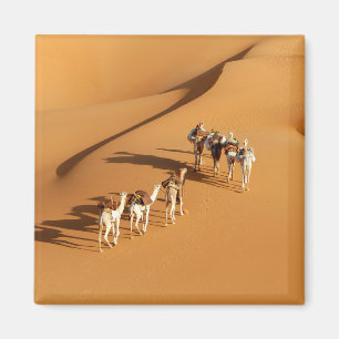 Deserts   Tuareg Walk with Camels Magnet