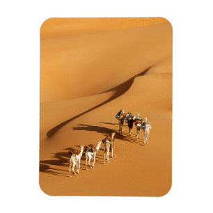Deserts   Tuareg Walk with Camels Magnet