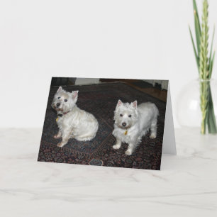 Desi & Lucy Card