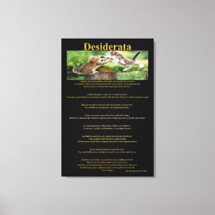 Desiderata Cat Fight Canvas Print