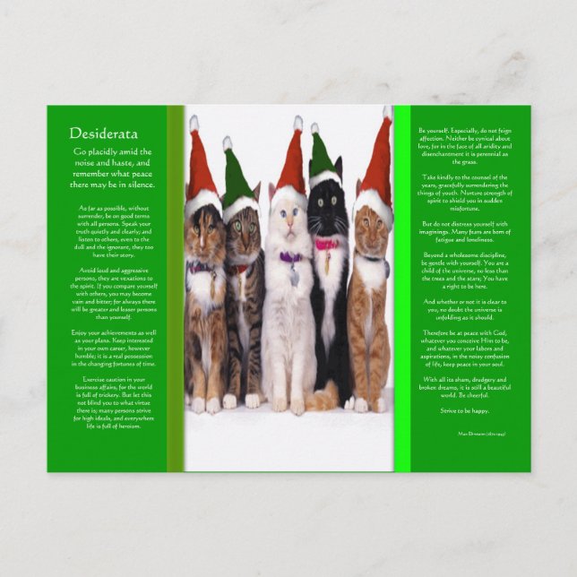 DESIDERATA Christmas Cats Postcard (Front)