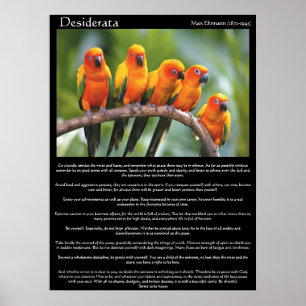 Desiderata  five orange and green canary poster