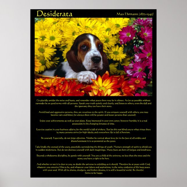 Desiderata Flower Beagle Posters (Front)