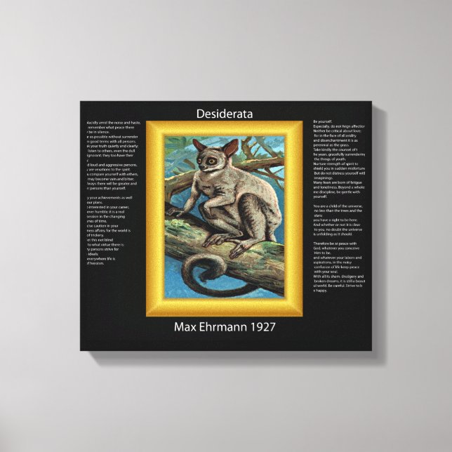 DESIDERATA  Galago 2 Canvas Print (Front)