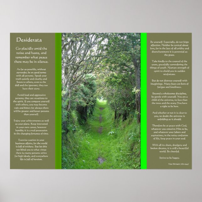DESIDERATA Grass Road Posters (Front)