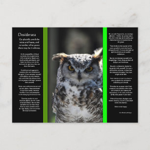 DESIDERATA Great Horn Owl Postcard 5