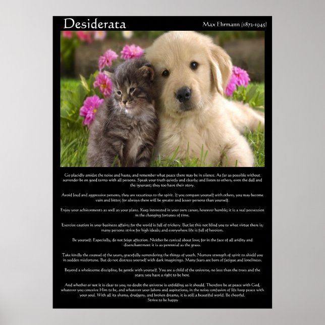Desiderata kittens next to a puppy Posters (Front)