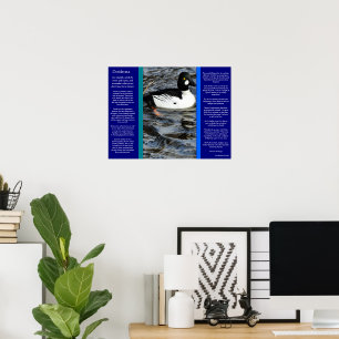 DESIDERATA Looking Duck Posters