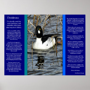DESIDERATA Looking Duck Posters 2