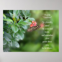 Desiderata On Photo of zebra wing butterfly