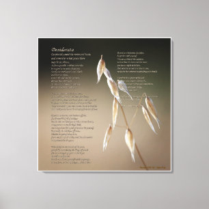 Desiderata on Wild Oat - LARGE Canvas Print