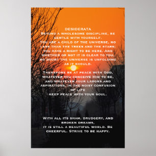 DESIDERATA Orange walkway Posters