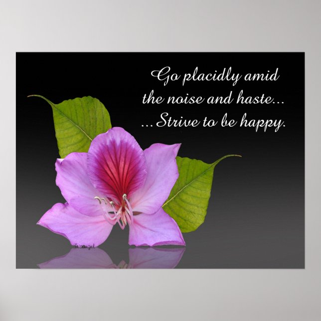 Desiderata orchid art photography Inspirational Poster (Front)