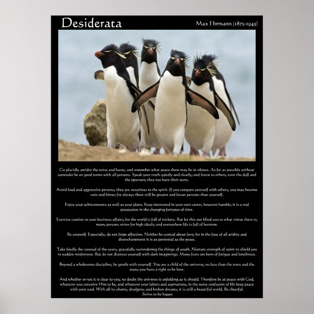 Desiderata Penguins Walking Posters (Front)