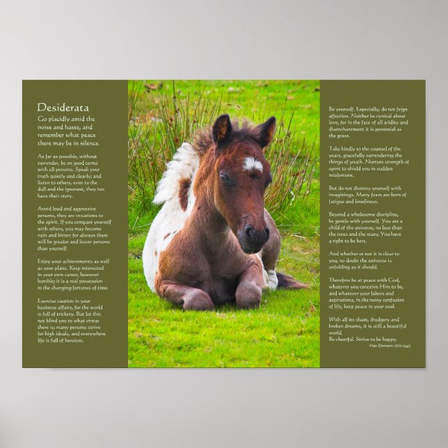 Desiderata Poem - Dartmoor Pony Foal Poster (Front)