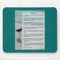 Desiderata Poem - Seagull on the Beach Scene