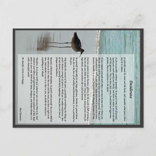 Desiderata Poem - Seagull on the Beach Scene Postcard (Front)