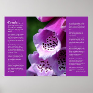 Desiderata - Purple Foxglove Poster
