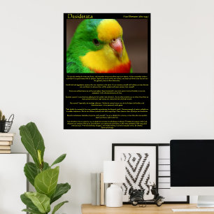 Desiderata Rainbow Canary Posters