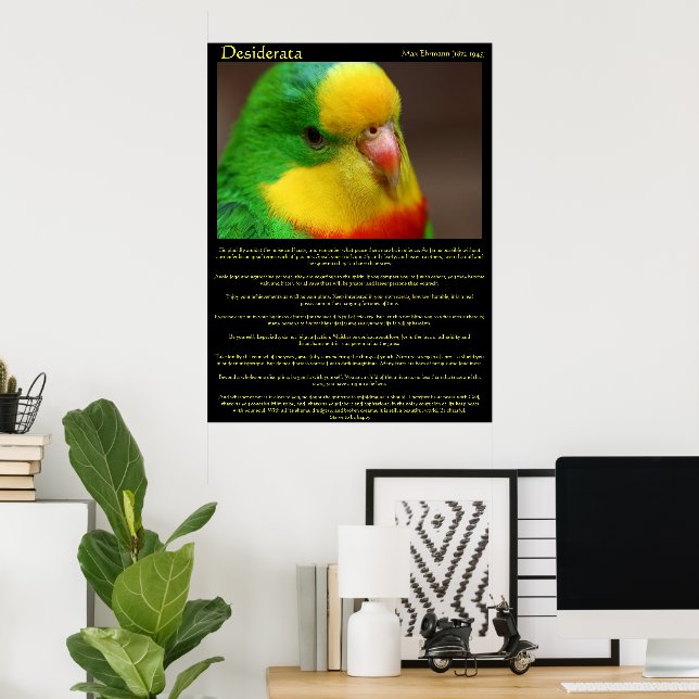Desiderata Rainbow Canary Posters (Home Office)