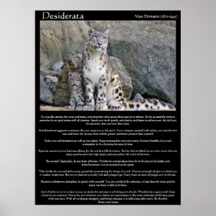 Desiderata two cheetahs in the mountain poster