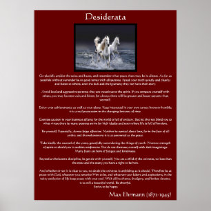 Desiderata white arabian horse Posters