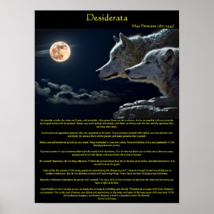Desiderata white wolfs on a mountain side poster