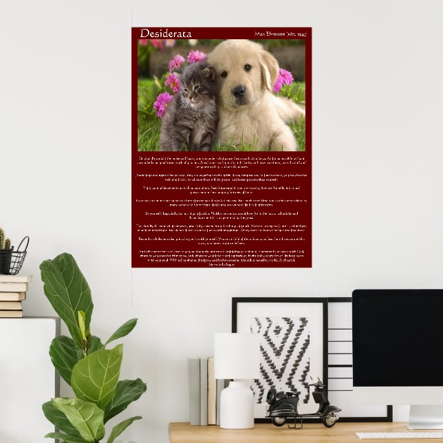 Desiderata Young Love Fight Posters (Home Office)