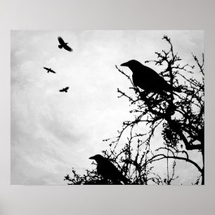 Design 43 crow raven poster