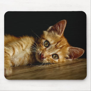 Design - Cute kitten Mouse Mat