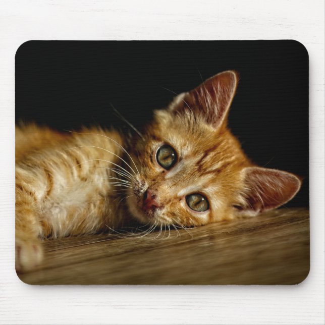 Design - Cute kitten Mouse Mat (Front)