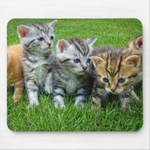 Design - Cute kittens Mouse Mat