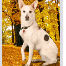 Design High Quality Custom Acrylic Photo Statuette