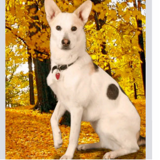 Design High Quality Custom Acrylic Photo Statuette Standing Photo Sculpture