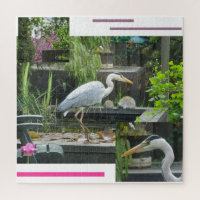 Design Puzzle: Grey Heron