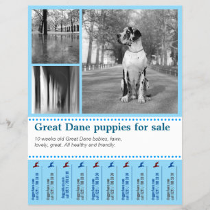 Design Selling Puppy Flyer
