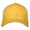 Design Your Own Basic Flexfit Wool Cap 15 colours
