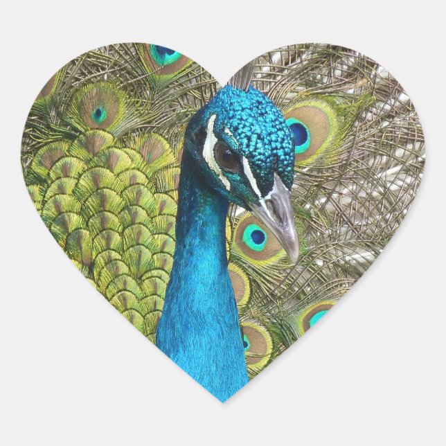 Design your own Custom Photo Stickers Heart Shaped (Front)