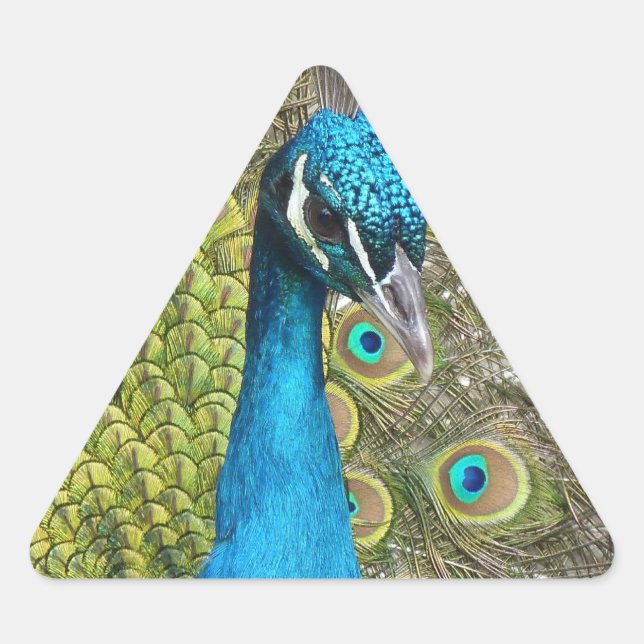 Design your own Custom Photo Stickers Triangle (Front)