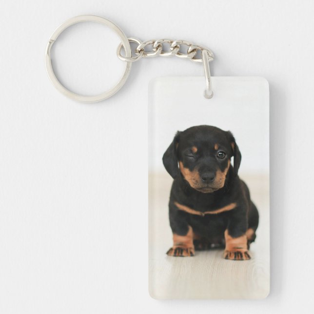 Design Your Own Pet Memory Photo Collage Key Ring (Front)